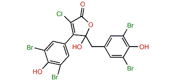 Rubrolide H